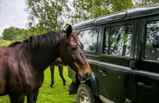 Hotele 4**** - Martiany 21 - service - zdjęcie 3 