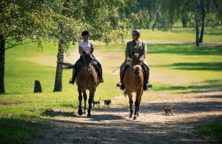 Hotele 4**** - Martiany 21 - service - zdjęcie 6 