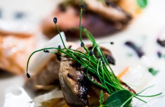 Hotele 5***** - Hotel AQUARIUS SPA***** - restaurant - zdjęcie 2 