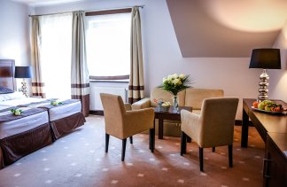 Hotele SPA - Hotel Spa Medical Dwór Elizy - Pokoje - zdjęcie 2 