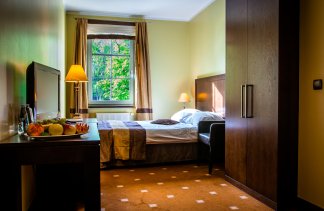 Hotele SPA - Hotel Spa Medical Dwór Elizy - Pokoje - zdjęcie 5 