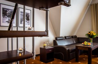 Hotele SPA - Hotel Spa Medical Dwór Elizy - Pokoje - zdjęcie 6 