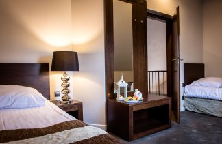 Hotele SPA - Hotel Spa Medical Dwór Elizy - Pokoje - zdjęcie 7 