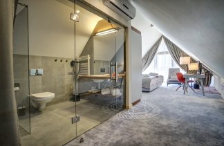 Hotele 4**** - Hotel Kopieniec Fizjo-Med & SPA - Pokoje - zdjęcie 11 