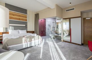Hotele 4**** - Hotel Kopieniec Fizjo-Med & SPA - Pokoje - zdjęcie 5 