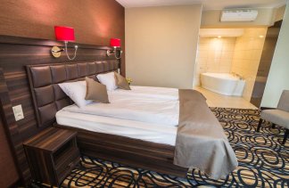 Centra konferencyjne - Hotel & Restauracja Atena Mielec - Pokoje - zdjęcie 1 