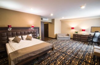 Centra konferencyjne - Hotel & Restauracja Atena Mielec - Pokoje - zdjęcie 7 