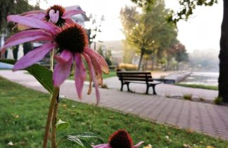 Centrum Konferencyjno-Wypoczynkowe - Apartamenty Ostróda  - obiekt - zdjęcie 6 