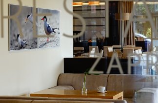 Centrum Konferencyjno-Wypoczynkowe - Apartamenty Ostróda  - restaurant - zdjęcie 10 