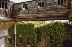 Nowy - Arche Królewska Papiernia - zdjęcie 4