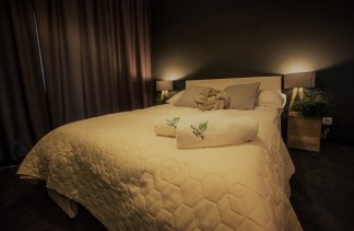 Hotele konferencyjne - Hotel Natural w Rezerwacie z Plażą na Wyspie - Pokoje - zdjęcie 2 