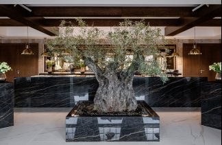 Hotele 5***** - Hotel Seidorf***** - restaurant - zdjęcie 3 