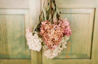 Pensjonat - Stare Polaszki 13 - obiekt - zdjęcie 16 