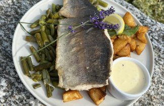 Pensjonat - Stare Polaszki 13 - restaurant - zdjęcie 3 