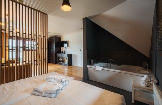 Obiekty konferencyjne - White Sails Solina - Pokoje - zdjęcie 5 