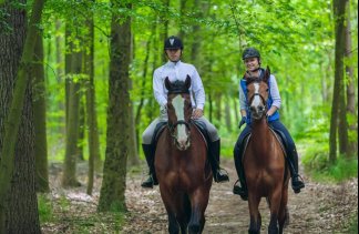 Restauracje - Aparthotel i Restauracja Hubertus  - service - zdjęcie 2 