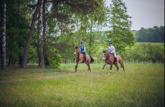 Restauracje - Aparthotel i Restauracja Hubertus  - service - zdjęcie 1 