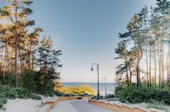 Hotele 4**** - Hotel Morski Widok - zdjęcie 4