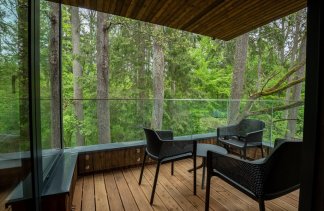 Hotele SPA - Enklawa Białowieska Forest&Spa - Pokoje - zdjęcie 13 