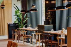 Restauracje - Selavi - zdjęcie 4