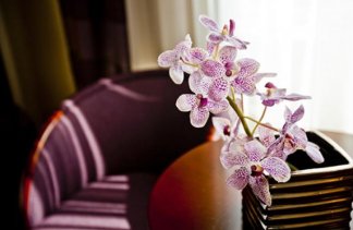 Hotele 4**** - HOTEL KOSSAK - Pokoje - zdjęcie 3 