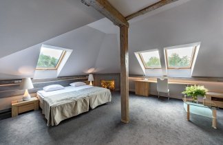 Pałace - Pałac Brzeźno Golf & SPA - Pokoje - zdjęcie 6 