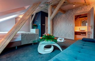 Pałace - Pałac Brzeźno Golf & SPA - Pokoje - zdjęcie 7 