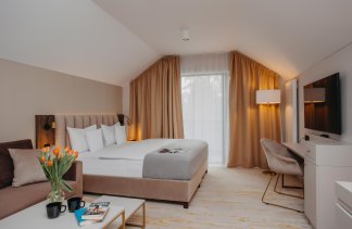 Hotele 4**** - Five Seasons Szklarska Poręba - Pokoje - zdjęcie 10 