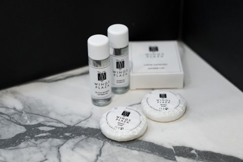 Hotele konferencyjne - Wings Plaza - zdjęcie 2