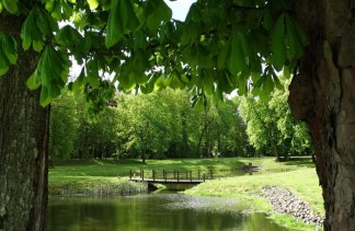 Pałace - Pałac Siemczyno - service - zdjęcie 1 