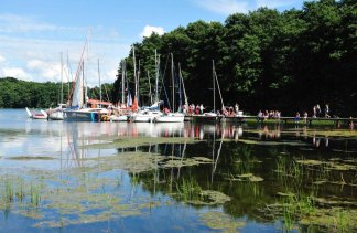 Pałace - Pałac Siemczyno - service - zdjęcie 2 