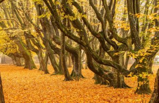 Pałace - Pałac Siemczyno - service - zdjęcie 4 