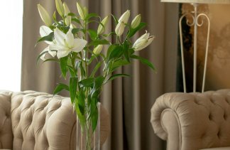 Hotele 4**** - Hotel **** Juvena Wellness & Spa - Pokoje - zdjęcie 8 