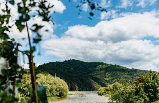 Hotele 4**** - Hotel Piwniczna SPA & Conference - obiekt - zdjęcie 15 