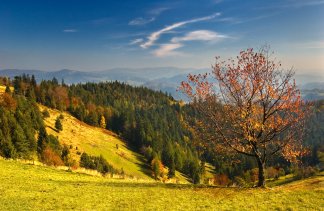 Hotele 4**** - Hotel Piwniczna SPA & Conference - obiekt - zdjęcie 4 