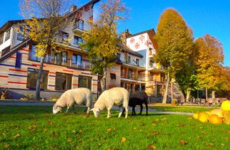 Hotele 4**** - Hotel Piwniczna SPA & Conference - obiekt - zdjęcie 19 