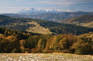 Hotele 4**** - Hotel Piwniczna SPA & Conference - obiekt - zdjęcie 20 