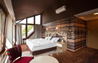 Hotele 4**** - Hotel Piwniczna SPA & Conference - Pokoje - zdjęcie 1 