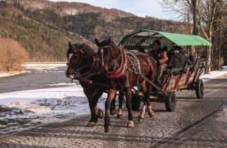 Hotele 4**** - Hotel Piwniczna SPA & Conference - service - zdjęcie 15 