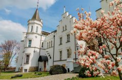 Centrum Konferencyjno-Wypoczynkowe - Resort Pałac Sulisław ***** - zdjęcie 4