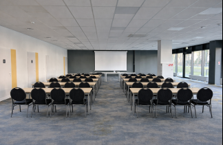 Hotele SPA - PINEA Resort - obiekt - zdjęcie 9 