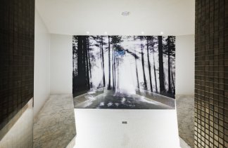 Hotele SPA - PINEA Resort - restaurant - zdjęcie 8 