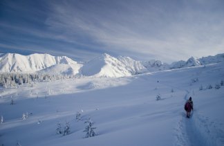 Hotele 3*** - Hotel Redyk Ski&Relax*** - obiekt - zdjęcie 14 