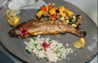 Hotele SPA - NEPTUNO Resort & Spa - restaurant - zdjęcie 6 