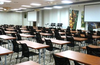 Hotele 4**** - Centrum Hotelowo-Konferencyjne Hotel Lenart****  - obiekt - zdjęcie 14 