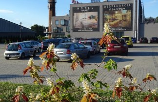 Hotele 4**** - Centrum Hotelowo-Konferencyjne Hotel Lenart****  - obiekt - zdjęcie 37 