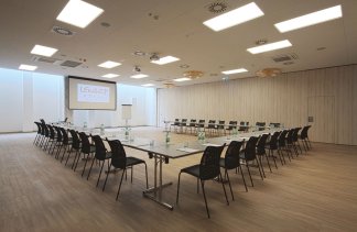 Hotele 4**** - Centrum Hotelowo-Konferencyjne Hotel Lenart****  - obiekt - zdjęcie 10 