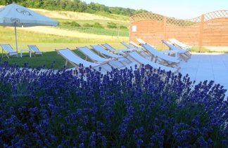 Hotele 4**** - Mercure Racławice Dosłońce Conference & SPA - obiekt - zdjęcie 31 