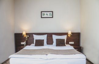 Hotele 4**** - Mercure Racławice Dosłońce Conference & SPA - obiekt - zdjęcie 19 