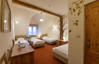 Obiekty szkoleniowe - Rancho Pod Bocianem - Pokoje - zdjęcie 8 